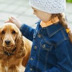 How to Choose the Right Dog Breed for Your Family?