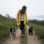 3 Tips For People Who Own Multiple Dogs
