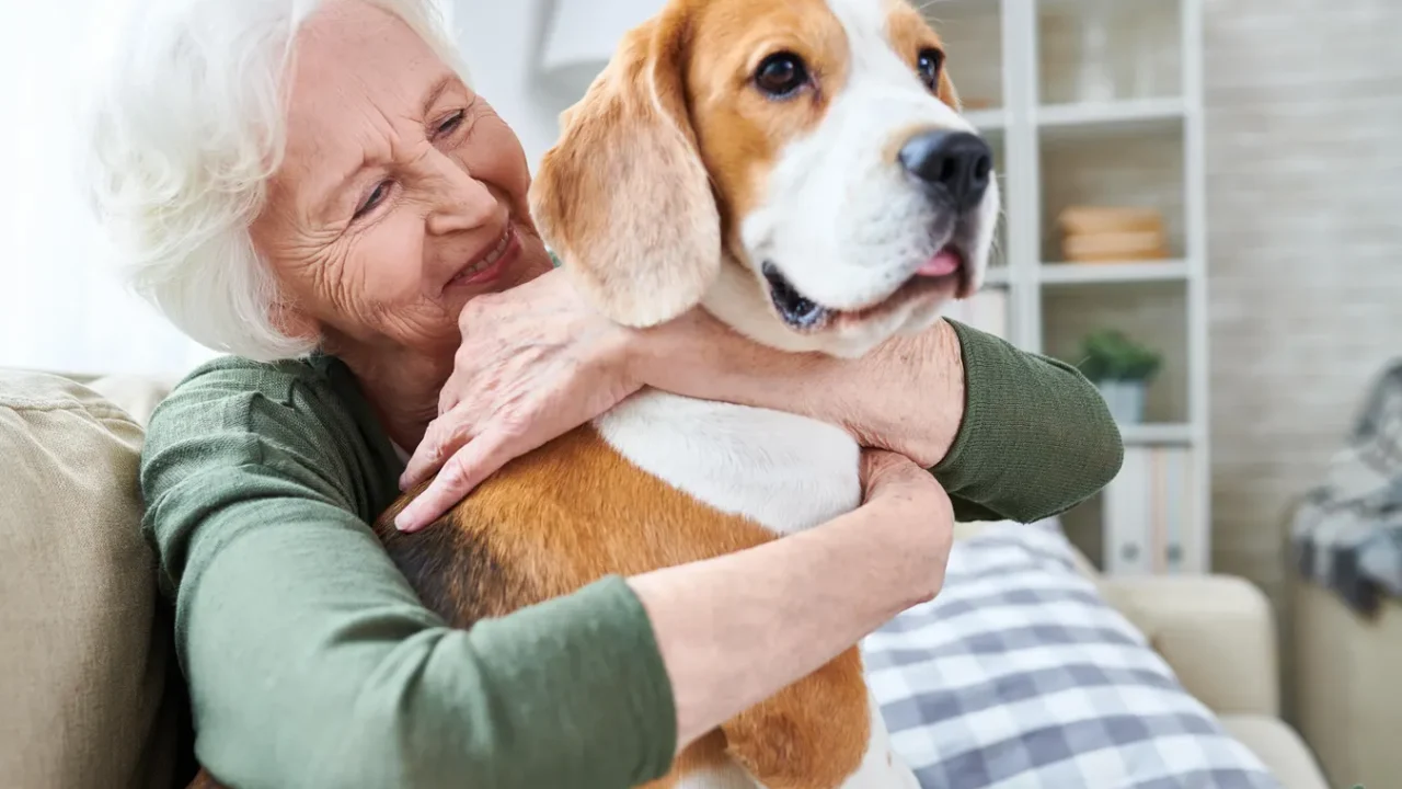 Why Seniors Choose Low-Interaction Pets for Companionship