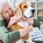 Why Seniors Choose Low-Interaction Pets for Companionship